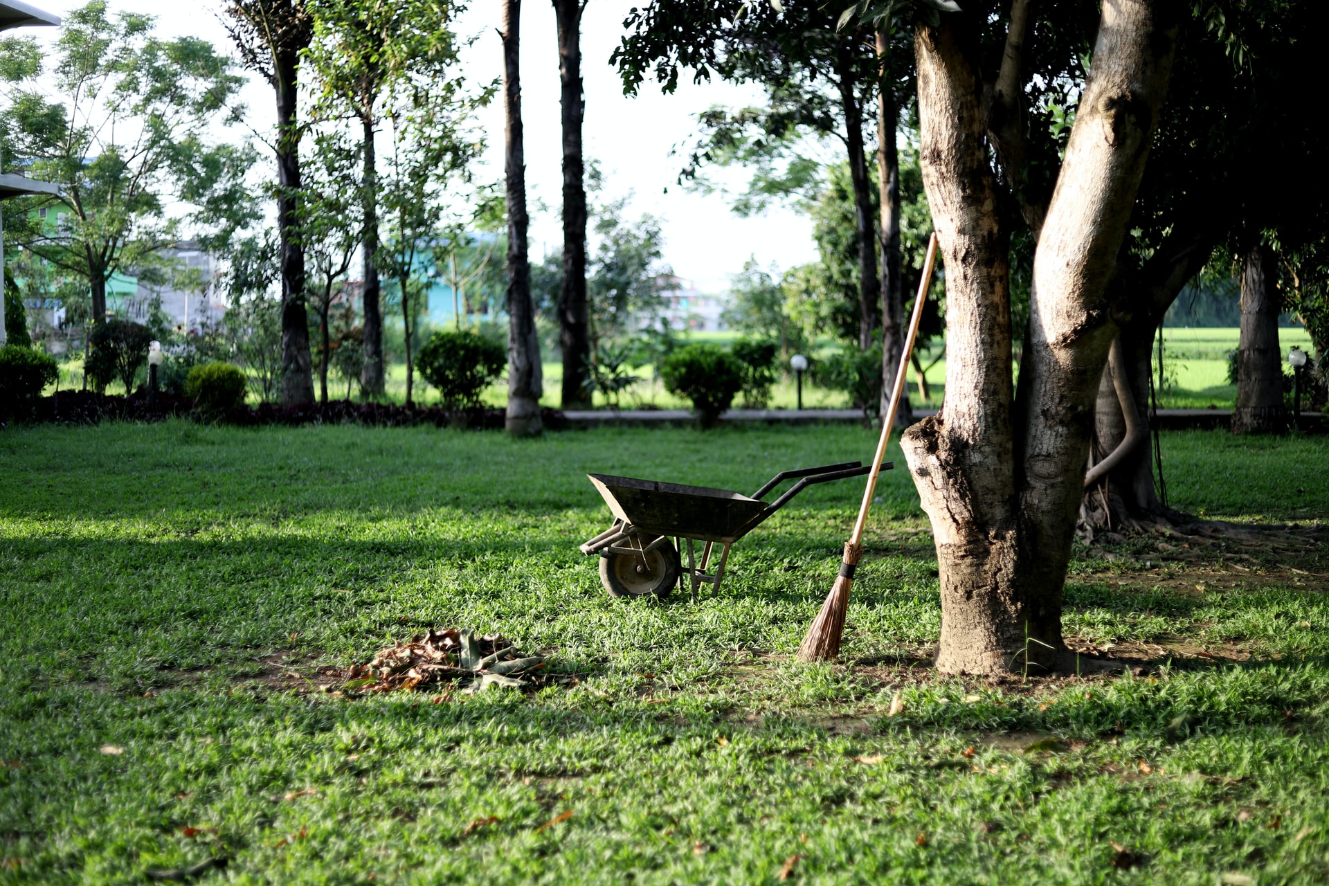 image_66.container_239