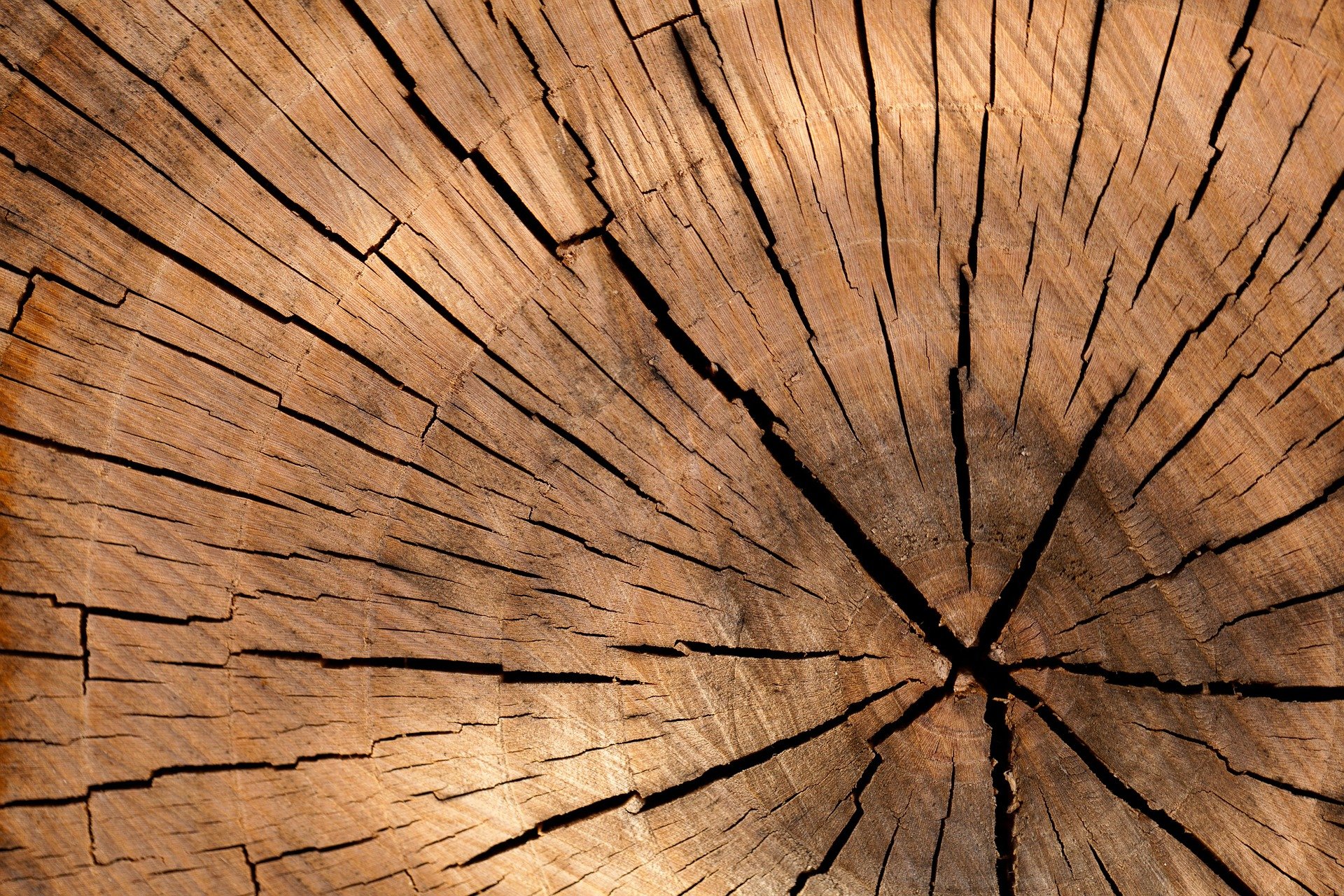 lumber-84678-1920.1.5feb560ad0631